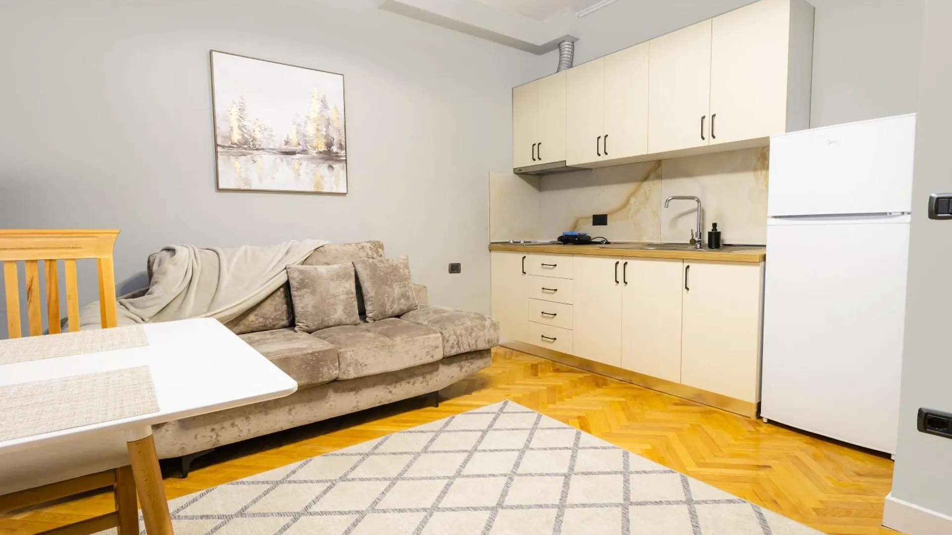 Central Cane Apartment 2 Tirana